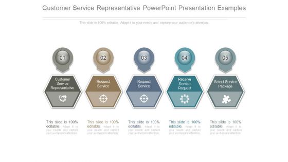 Customer Service Representative Powerpoint Presentation Examples