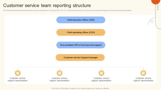 Customer Service Team Reporting Structure Ppt Inspiration Model PDF