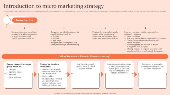Customised Advertising Strategies Introduction To Micro Marketing Strategy Elements PDF