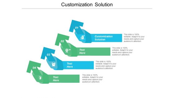 Customization Solution Ppt PowerPoint Presentation Pictures Examples Cpb