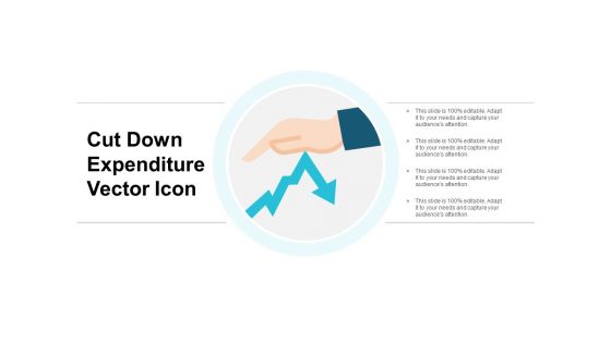 Cut Down Expenditure Vector Icon Ppt PowerPoint Presentation Summary Portfolio