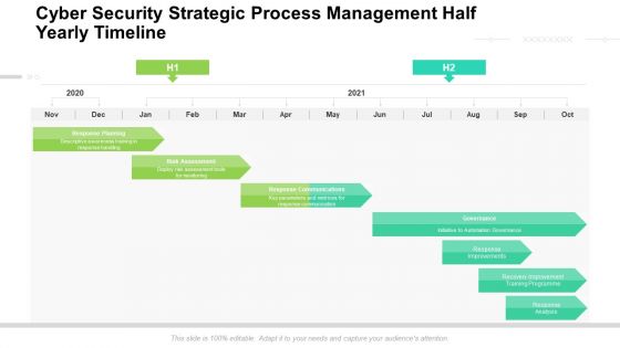 Cyber Security Strategic Process Management Half Yearly Timeline Rules