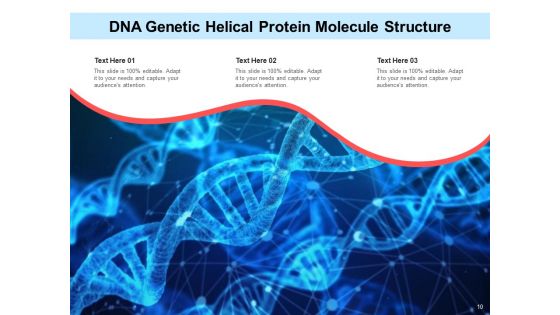 DNA Ppt Template Molecular Structure Puzzle Pieces Ppt PowerPoint Presentation Complete Deck