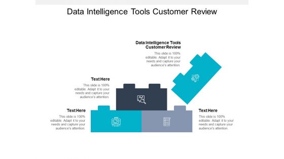 Data Intelligence Tools Customer Review Ppt PowerPoint Presentation Ideas Background Cpb