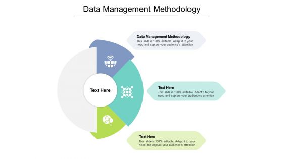 Data Management Methodology Ppt PowerPoint Presentation Outline Format Cpb
