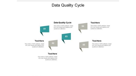 Data Quality Cycle Ppt PowerPoint Presentation Summary Outfit Cpb