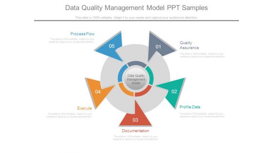 Data Quality Management Model Ppt Samples