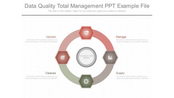Data Quality Total Management Ppt Example File