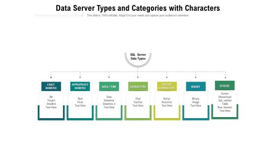 Data Server Types And Categories With Characters Ppt PowerPoint Presentation File Inspiration PDF