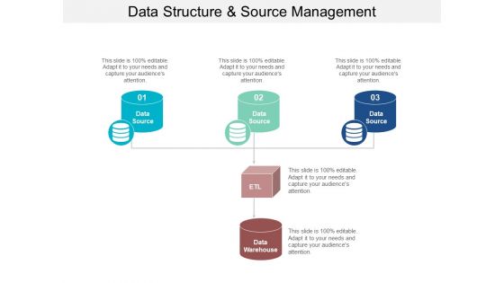 Data Structure And Source Management Ppt PowerPoint Presentation Layouts Show
