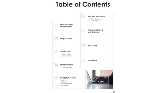 Debt Management Process Proposal Table Of Contents One Pager Sample Example Document Debt Management Process Proposal Table Of Contents One Pager Sample Example Document