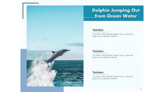 Delphinus Sea Water Ocean Water Ppt PowerPoint Presentation Complete Deck