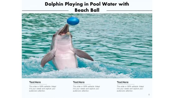Delphinus Sea Water Ocean Water Ppt PowerPoint Presentation Complete Deck