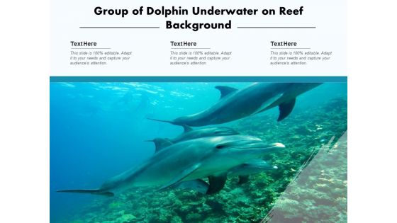 Delphinus Sea Water Ocean Water Ppt PowerPoint Presentation Complete Deck