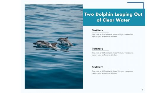 Delphinus Sea Water Ocean Water Ppt PowerPoint Presentation Complete Deck