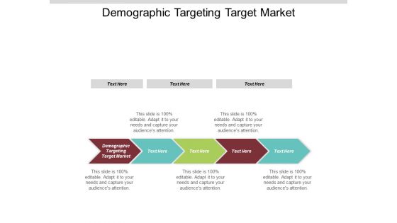 Demographic Targeting Target Market Ppt Powerpoint Presentation Pictures Design Templates Cpb