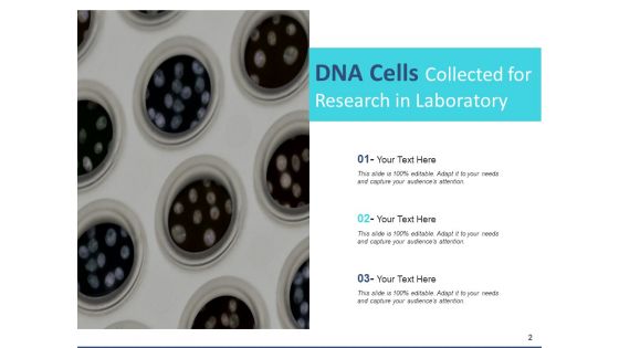 Deoxyribonucleic Acid Research Operating Ppt PowerPoint Presentation Complete Deck
