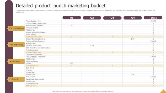 Detailed Product Launch Marketing Budget Ppt Styles Topics PDF