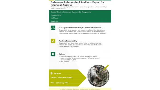 Determine Independent Auditors Report For Financial Analysis One Pager Documents