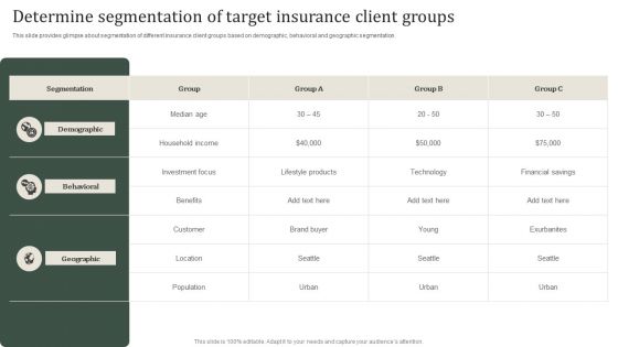 Determine Segmentation Of Target Insurance Client Groups Icons PDF