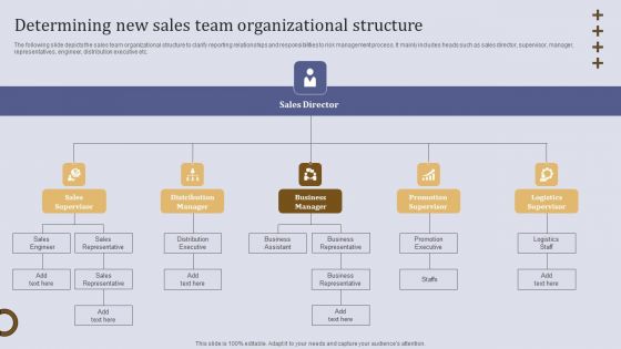 Determining New Sales Team Organizational Structure Ppt Outline Show PDF