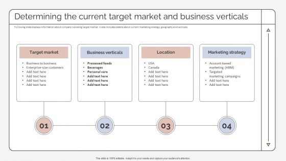 Determining The Current Target Market And Business Verticals Strategic Promotion Plan Structure PDF