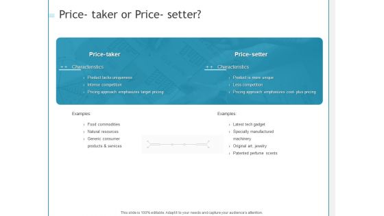 Developing A Right Pricing Strategy For Business Price Taker Or Price Setter Ideas PDF