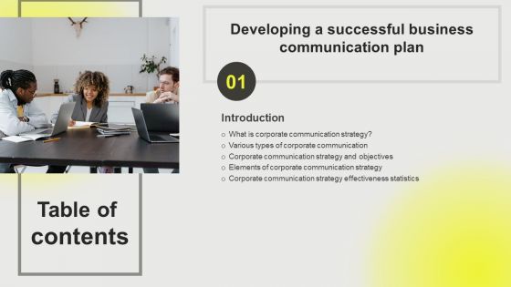 Developing A Successful Business Communication Plan Table Of Contents Infographics PDF Developing A Successful Business Communication Plan Table Of Contents Infographics PDF