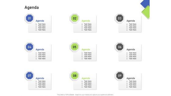 Developing Content Mapping Strategy Agenda Ppt Infographic Template Master Slide PDF