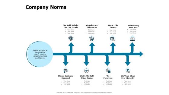 Developing Implementing Strategic HRM Plans Company Norms Ppt Infographic Template Information PDF