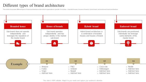 Developing Market Leading Businesses Different Types Of Brand Architecture Demonstration PDF