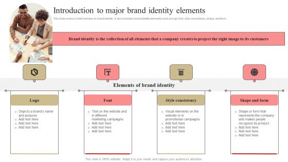 Developing Market Leading Businesses Introduction To Major Brand Identity Elements Designs PDF