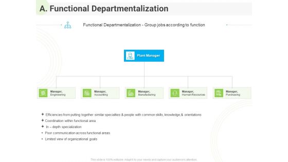 Developing Work Force Management Plan Model A Functional Departmentalization Diagrams PDF