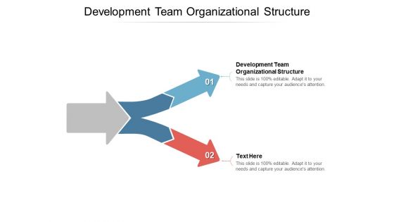 Development Team Organizational Structure Ppt PowerPoint Presentation File Slide Portrait Cpb