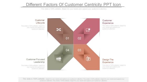Different Factors Of Customer Centricity Ppt Icon