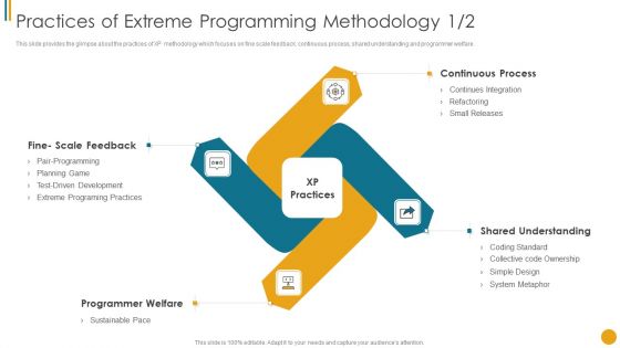 Different Scrum Approaches Practices Of Extreme Programming Methodology Scale Professional PDF