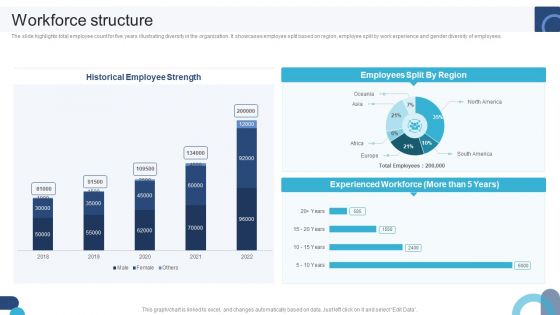 Digital Application Software Development Business Profile Workforce Structure Infographics PDF Digital Application Software Development Business Profile Workforce Structure Infographics PDF