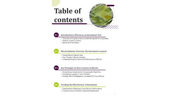 Digital Currency Investment Guide For Business Template