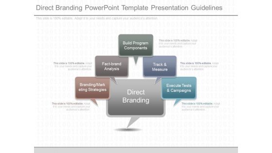 Direct Branding Powerpoint Template Presentation Guidelines