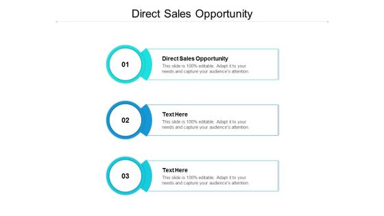 Direct Sales Opportunity Ppt PowerPoint Presentation Summary Display Cpb