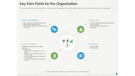 Distressed Debt Refinancing For Organizaton Key Pain Points For The Organization Ppt PowerPoint Presentation Icon Rules PDF