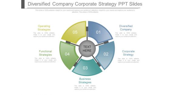 Diversified Company Corporate Strategy Ppt Slides