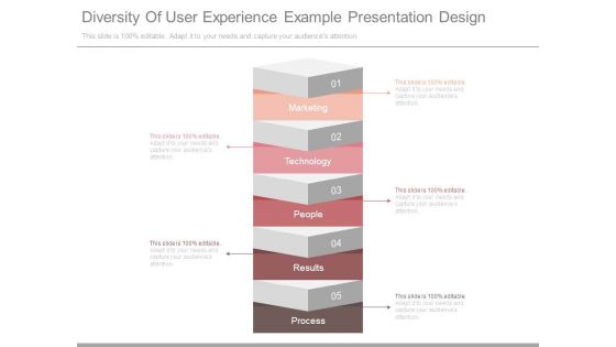 Diversity Of User Experience Example Presentation Design Diversity Of User Experience Example Presentation Design
