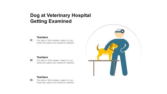 Dog At Veterinary Hospital Getting Examined Ppt PowerPoint Presentation Ideas Brochure PDF