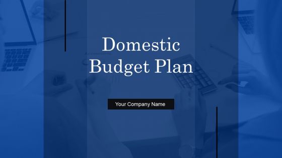 Domestic Budget Plan Ppt PowerPoint Presentation Complete Deck With Slides