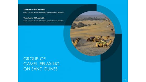 Dromedary Captivity Gear Ppt PowerPoint Presentation Complete Deck