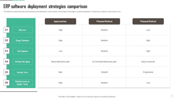ERP Software Deployment Strategies Comparison Formats PDF