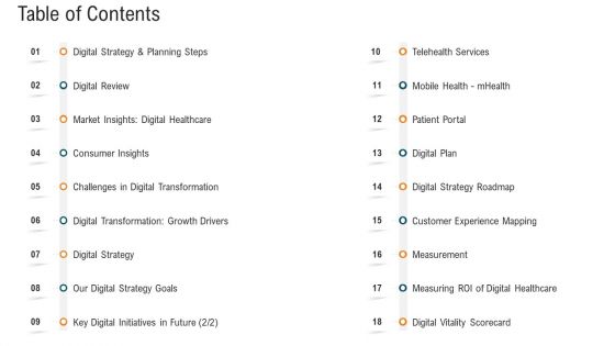 E Healthcare Strategic Development And Approach Table Of Contents Sample PDF