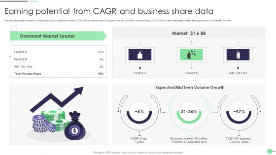 Earning Potential From CAGR And Business Share Data Summary PDF