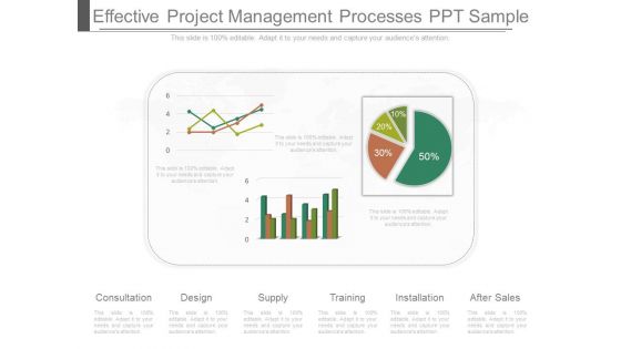 Effective Project Management Processes Ppt Sample